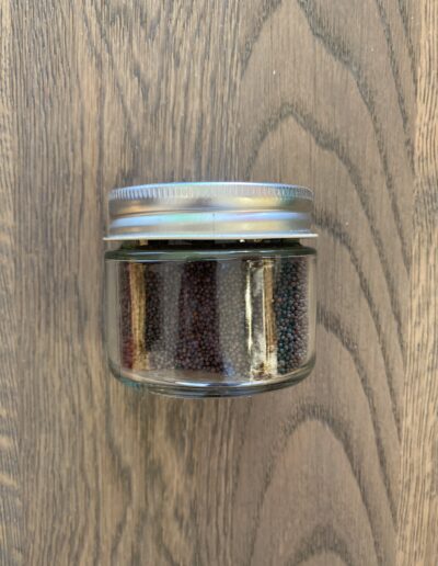 Braune Senfsamen 100g